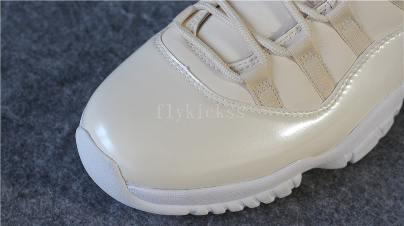 Air Jordan 11 20th Anniversary